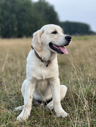 Similar image 22006677