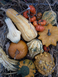 Similar image 22006680