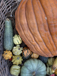 Similar image 22006681