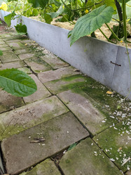 Similar image 22006577