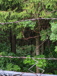 Similar image 22006579