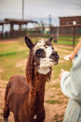 Similar image 22013726