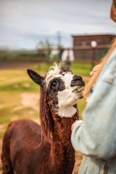 Similar image 22013728