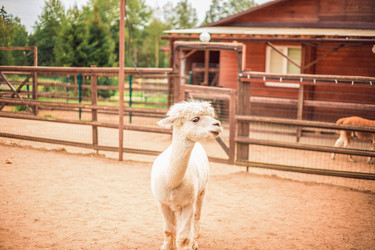 Similar image 22013729