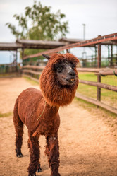 Similar image 22013730