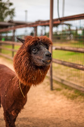 Similar image 22013732