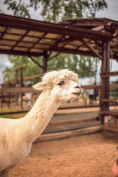 Similar image 22013734