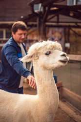 Similar image 22013738