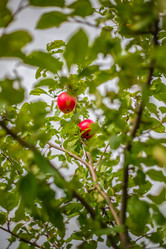 Similar image 22013739