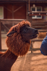 Similar image 22013740