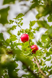 Similar image 22013741