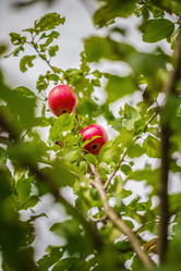 Similar image 22013743