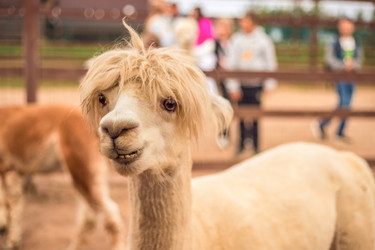 Similar image 22013746