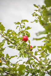 Similar image 22014611