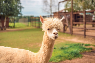 Similar image 22014612