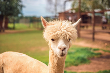 Similar image 22014613