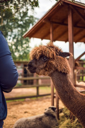 Similar image 22014614