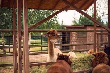 Similar image 22014615