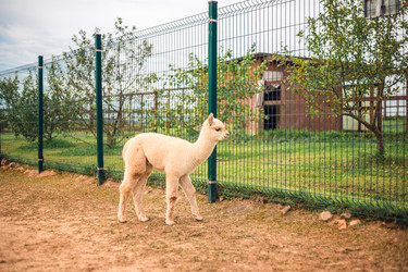 Similar image 22014616