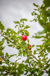 Similar image 22014617