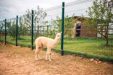 Similar image 22014618