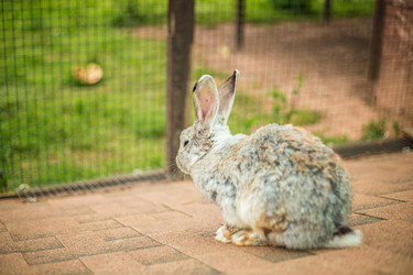 Similar image 22014619