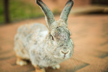 Similar image 22014621