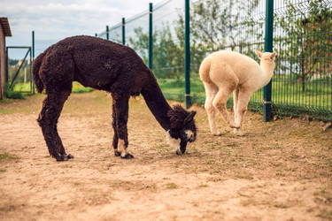 Similar image 22014622