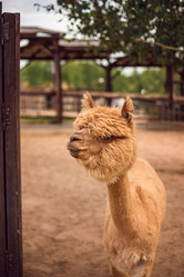 Similar image 22014625