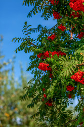 Similar image 22014626