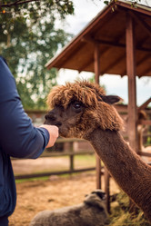 Similar image 22014627