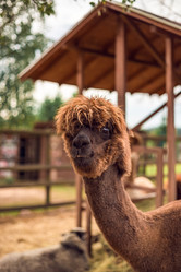 Similar image 22014628