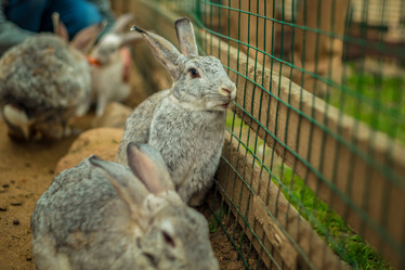 Similar image 22014631