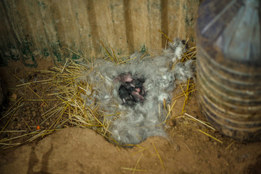 Similar image 22014632