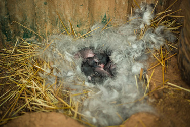 Similar image 22014633