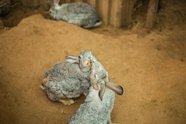 Similar image 22014637