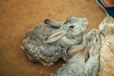 Similar image 22014638