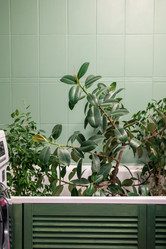 Similar image 22017042