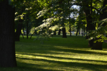 Similar image 22006580