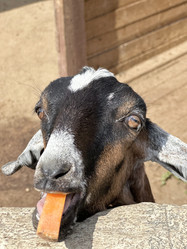 Similar image 22007367