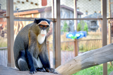 Similar image 22007368