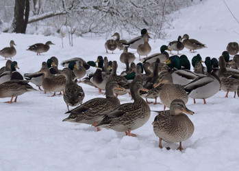 Similar image 22007375