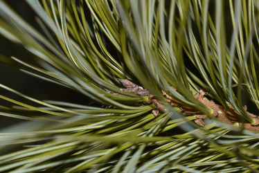 Similar image 22007376