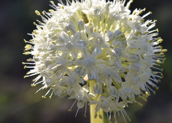 Similar image 22007379