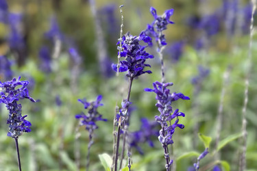 Similar image 22007380