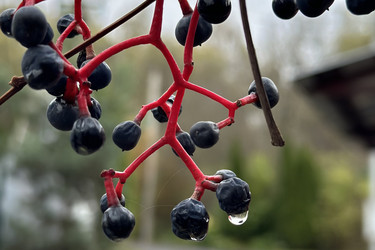 Similar image 22007382