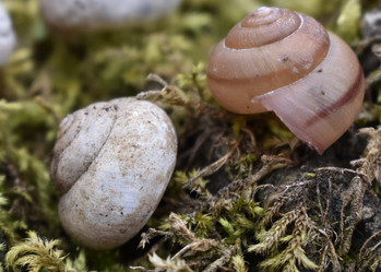 Similar image 22007386