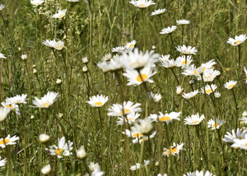 Similar image 22007393