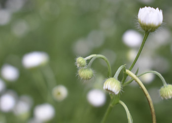 Similar image 22007396