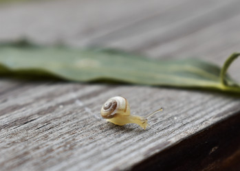 Similar image 22007398